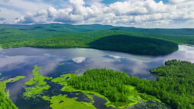 Aerial View of Lake with Extensive Aquatic Plants, Dense Forests, and Mountains