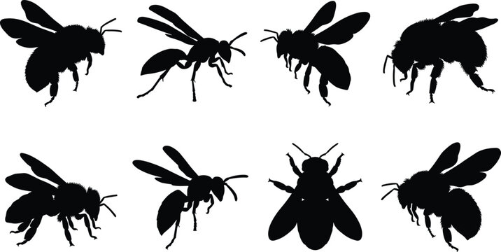 Detailed bee and wasp silhouette icon set for honey branding nature graphics and scientific projects.