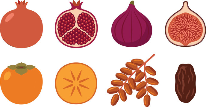 Flat vector set of Mediterranean fruits including pomegranate fig persimmon and dates for organic branding