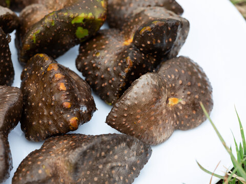 Chinese yam , Dioscorea polystachya,Korean food ingredients