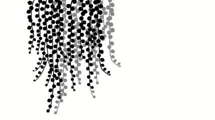 Obraz premium Minimalist black and white graphic illustration of hanging trailing string of pearls plant vines. Vector Illustration
