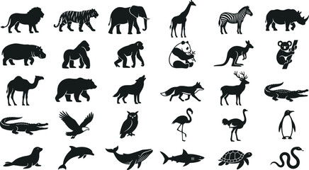 Fototapeta premium Large collection of exotic zoo animals and sea creatures silhouettes for illustration and projects