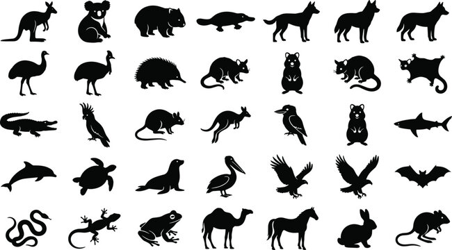 Set of Australian fauna animal silhouettes including kangaroo koala platypus dingo and many others