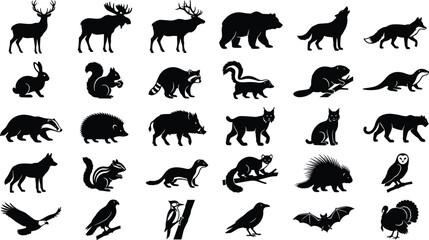 Set of wild animal and bird silhouettes featuring various creatures on a white background © Fensi