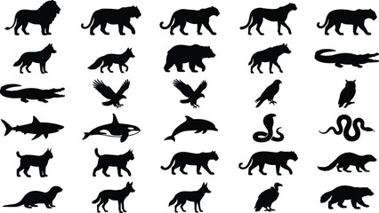 Set of wild animal silhouettes including big cats predators birds reptiles and various mammals icon © Fensi