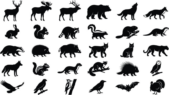 Set of wild animal and bird silhouettes featuring various creatures on a white background