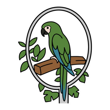 Chestnut-Fronted Macaw on Hoop Perch