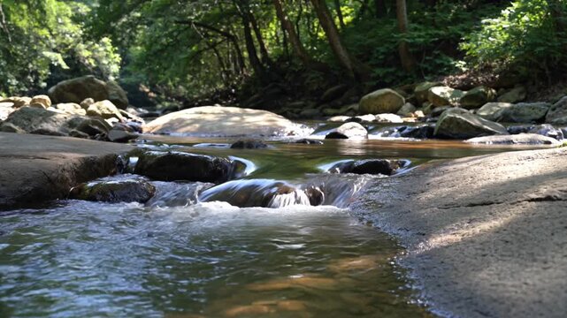 Gentle forest stream flowing over rocks