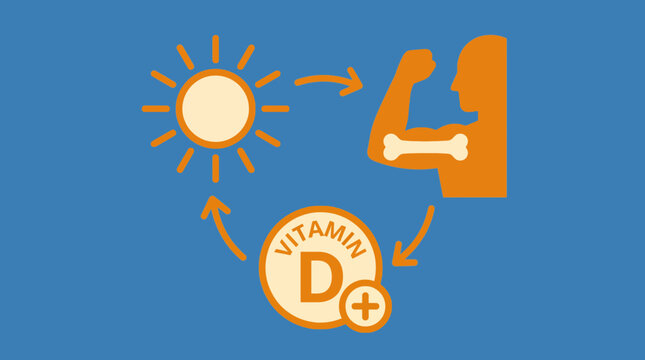 Vitamin D Sunlight Bone Health Concept - Isolated Vector Illustration