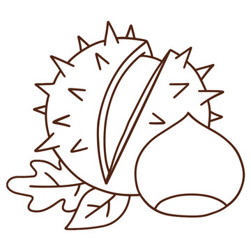 Chestnut with spiky shell vector icon. Autumn forest chestnut seed colored and outline illustration.