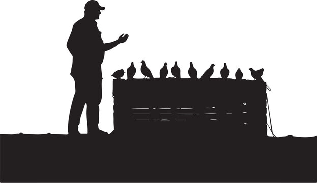 Silhouette of man feeding pigeons on crate
