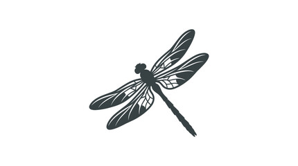 Black dragonfly insect with wings. © Muhammad