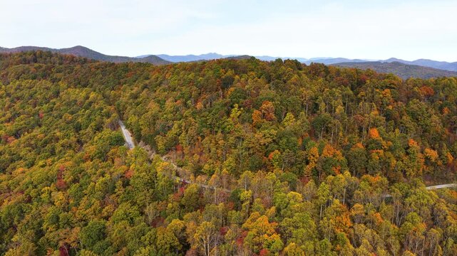Car drive during road trip on Blue Ridge Parkway in full autumn splendor. North Carolina mountain highway lined with brilliant red, orange, and gold foliage.