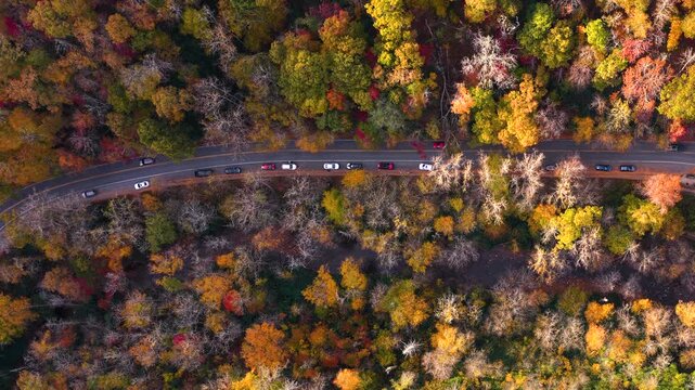 Cars driving on parkway road in autumn season at sunset. Scenic route between majestic mountain hills covered in golden and scarlet leaves.