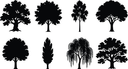 Collection of black vector tree silhouettes featuring diverse canopy structures and branching forms for landscape design and illustration © It's Bishaaaaaal