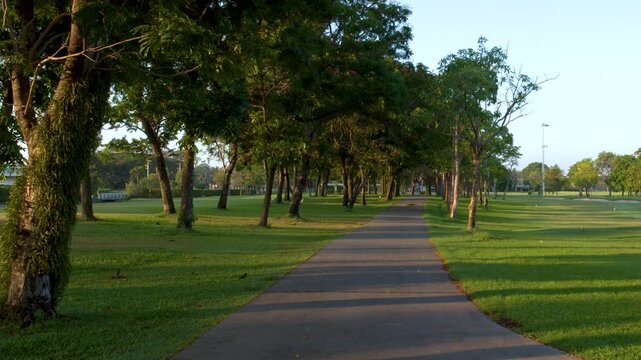 Asphalt Path Through Lush Green Tropical Public Park in Thailand