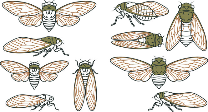 Cicada Line Art Icon Set with Periodical Cicadas, Flying Hemiptera Insects, Detailed Wing Illustrations, and Editable Vector Wildlife Collection