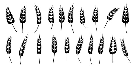 Fototapeta premium Set ears of wheat, rye or barley, agriculture and harvest, black isolated silhouette on white background, vector drawing