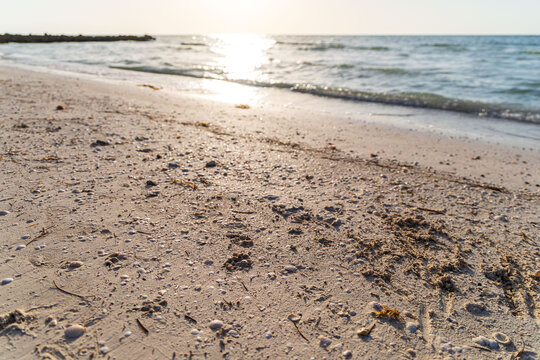 Playa Isla Holbox