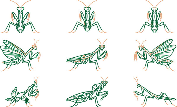 Praying Mantis Line Art Icon Set with Mantodea Insects, Predatory Bug Illustrations, Nature Wildlife Collection, and Editable Vector Design Elements