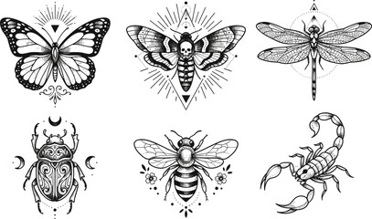 Vintage Engraved Insect Illustration Set with Butterfly, Death's Head Hawk Moth, Dragonfly, Scarab Beetle, Honey Bee, and Scorpion Collection © MstSuborna