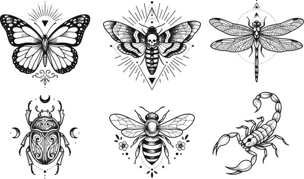 Vintage Engraved Insect Illustration Set with Butterfly, Death's Head Hawk Moth, Dragonfly, Scarab Beetle, Honey Bee, and Scorpion Collection