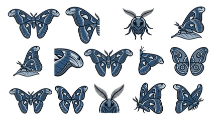 Stylized moth and butterfly insect icon collection © Wawa