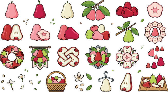Rose apple collection featuring wax apples tropical fruit slices wreaths floral decorations and botanical vector illustration set