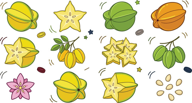 Starfruit collection featuring fresh carambola whole sliced fruit blossoms seeds and tropical botanical vector illustration set