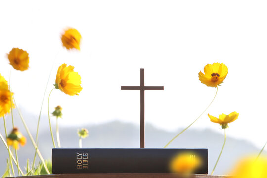 The cross of Jesus Christ and the holy Bible, beautiful flowers, and a background of worship and prayer.
