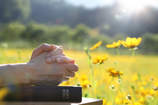 A Christian praying in a beautiful sunlit flower garden, background of faith, worship, and prayer

