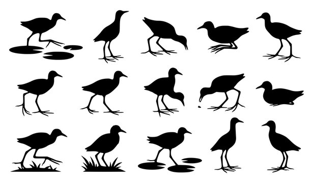 African Jacana Black Silhouette Bundle Vector Wildlife Bird Collection on White Background