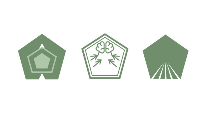 Three green pentagon icons with unique internal designs.