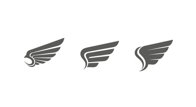 Three stylized gray feather wing icons set.