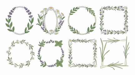 Fototapeta premium Botanical Hand-Drawn Floral Borders and Frames - Lavender, Daisy, Herbs