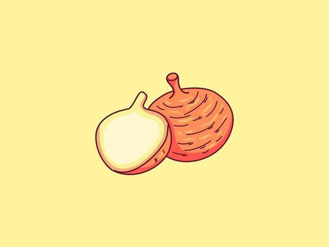 Jicama Fruit Cartoon Vector Icon Illustration