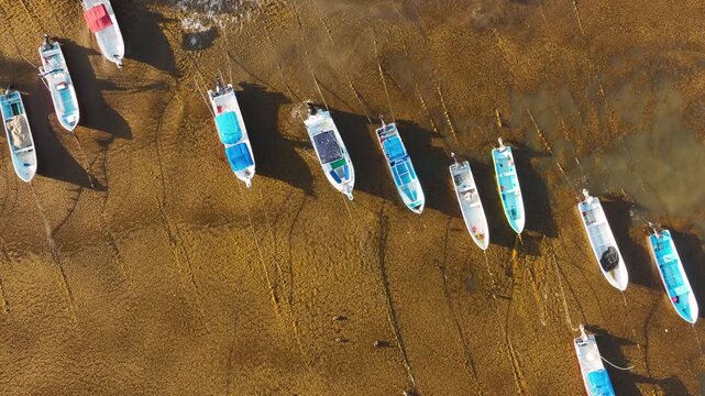 Steady top down drone shot of small boats moored over shallow water heavily covered with sargassum in Playa del Carmen, Mexico, highlighting coastal pollution and marine impact.