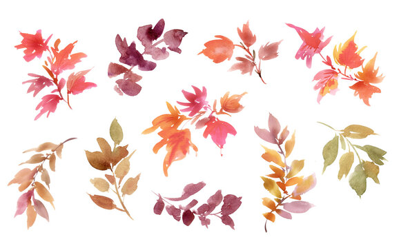 Hand painted Watercolor Autumn leaves PNG clipart set for banner, invitation and background.