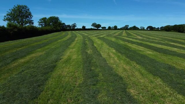 Freshly mown grass stripes sweep across a wide rural pasture toward a tree-lined horizon on a bright clear day.