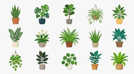 Clean Collection of 15 Colorful Indoor Houseplants in Various Stylish Pots and Hanging Baskets Modern Decor © ajalidaf