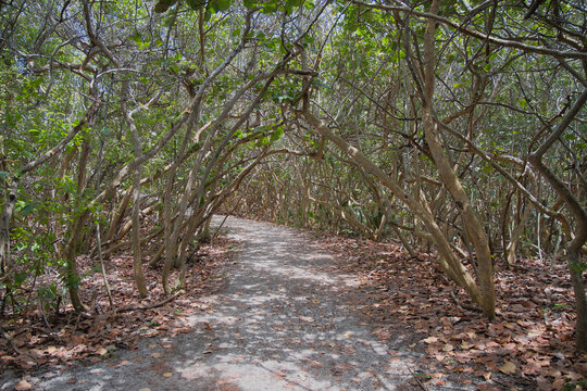 Road to the beach in Stuart, Florida