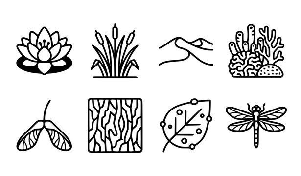 Nature Landscapes and Wildlife Elements Outline Vector Icon Set Featuring Lotus Flower Cattails Desert Sand Dunes Coral Reef Maple Samara Wood Texture Leaf and Dragonfly Icons