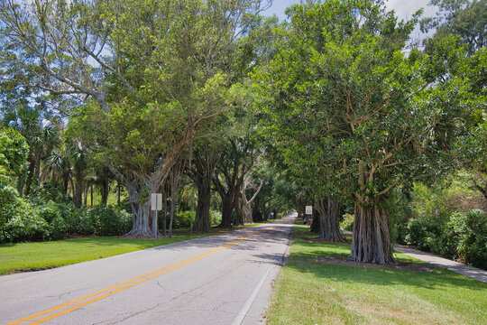 Road to the beach in Stuart, Florida
