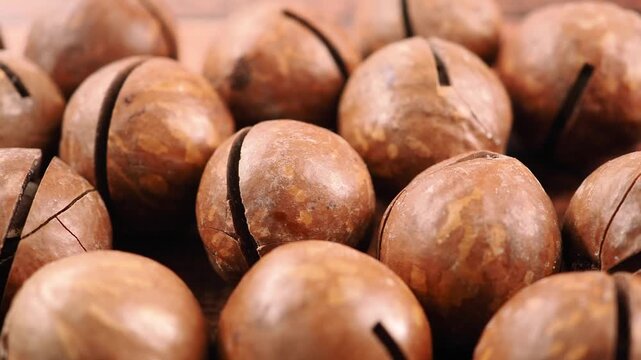 Discovering macadamia nuts and their uses in cooking