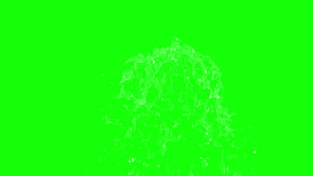 Water jets on green screen background