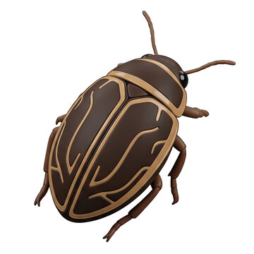 Brown beetle with tan stripes isolated on transparent background