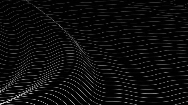 Digital wave lines looping on black background. Shining illuminated lines gently luxury waving. Gradient wavy line with wave grid lines motion. Many bright lines are dancing across the dark screen.