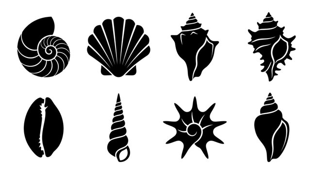 Collection of various seashell silhouettes.