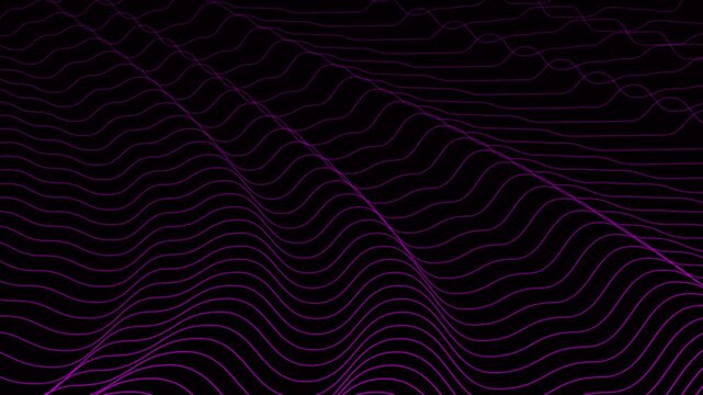 Digital wave lines looping on black background. Shining illuminated lines gently luxury waving. Gradient wavy line with wave grid lines motion. Many bright lines are dancing across the dark screen.