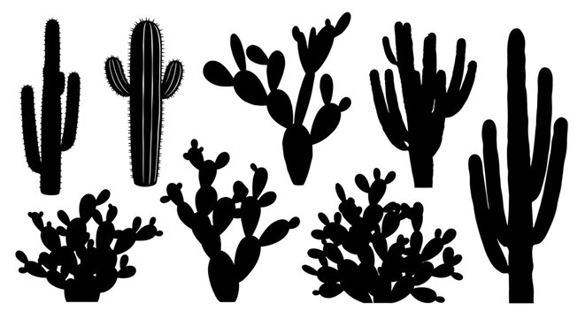 Vector illustration featuring a collection of diverse digital styli and pens for touch screens, including various ergonomic shapes, colors, and designs for graphic tablets and mobile.